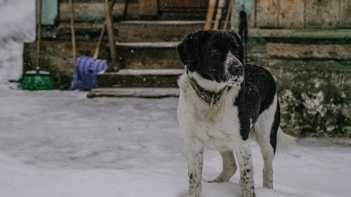 Светлана Мулыкина📷
