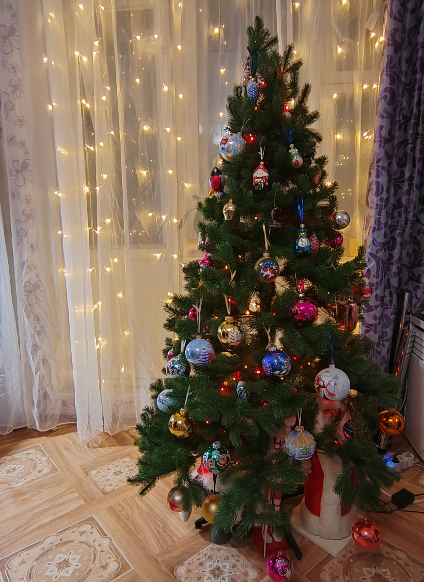 Наша красавица (2024)