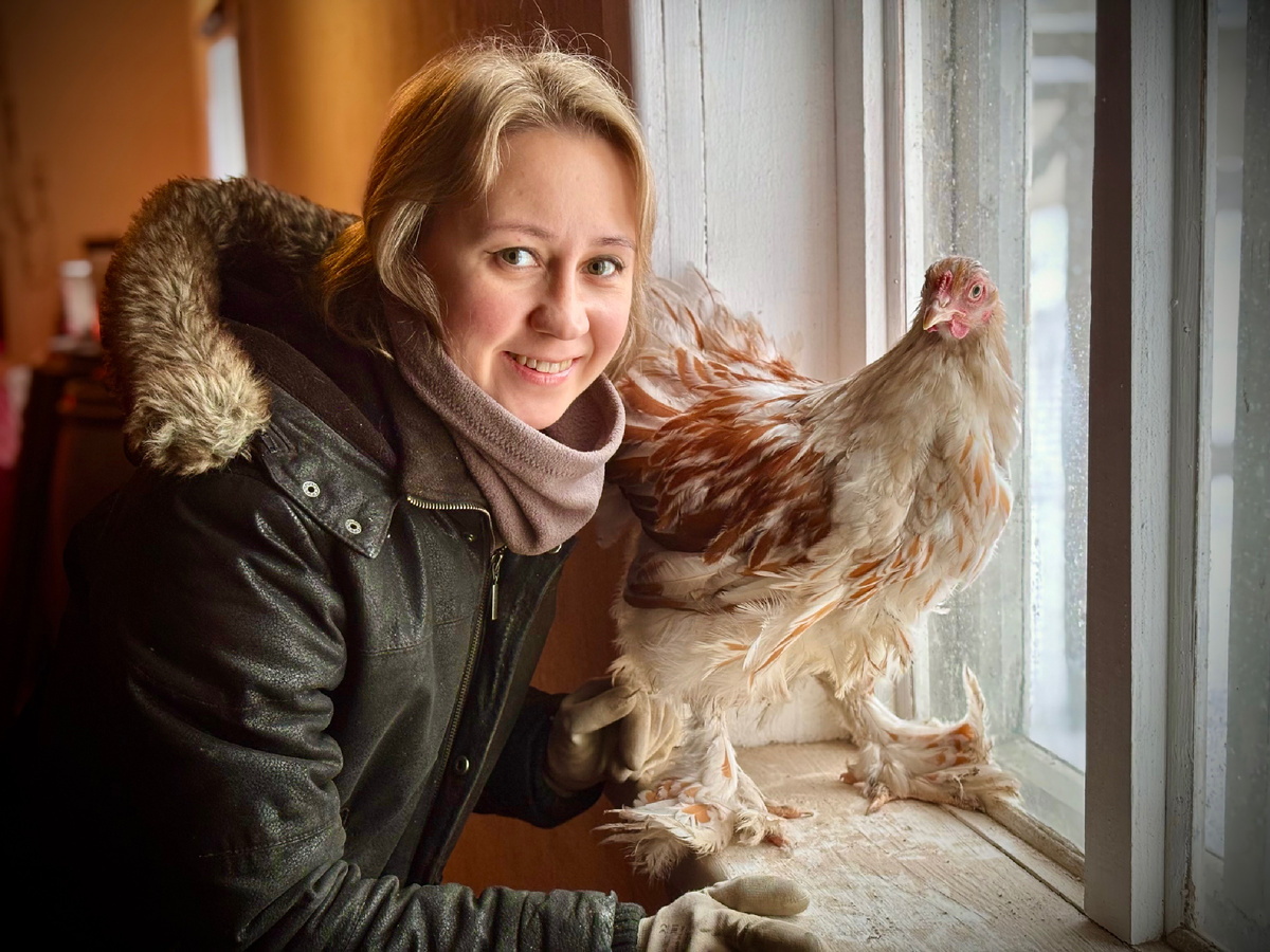 Брама, окрас Белое золото 