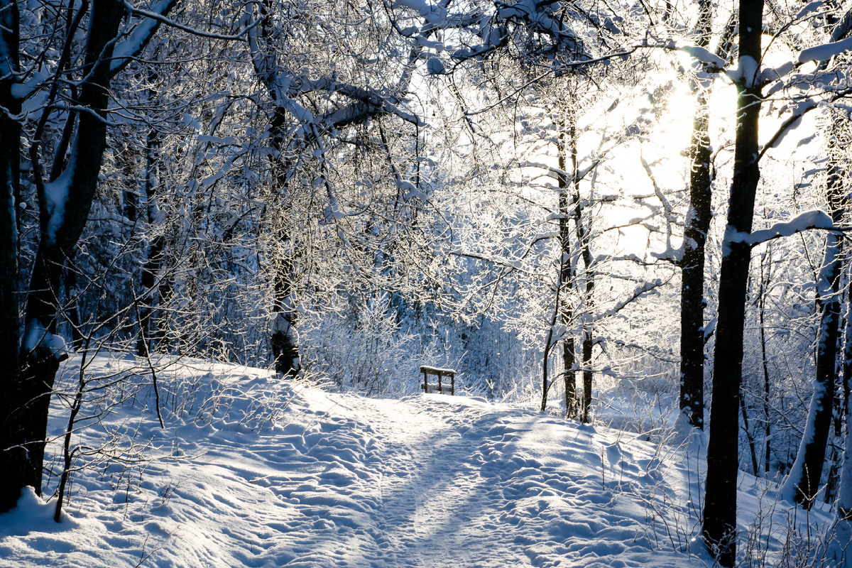 joonas/istock