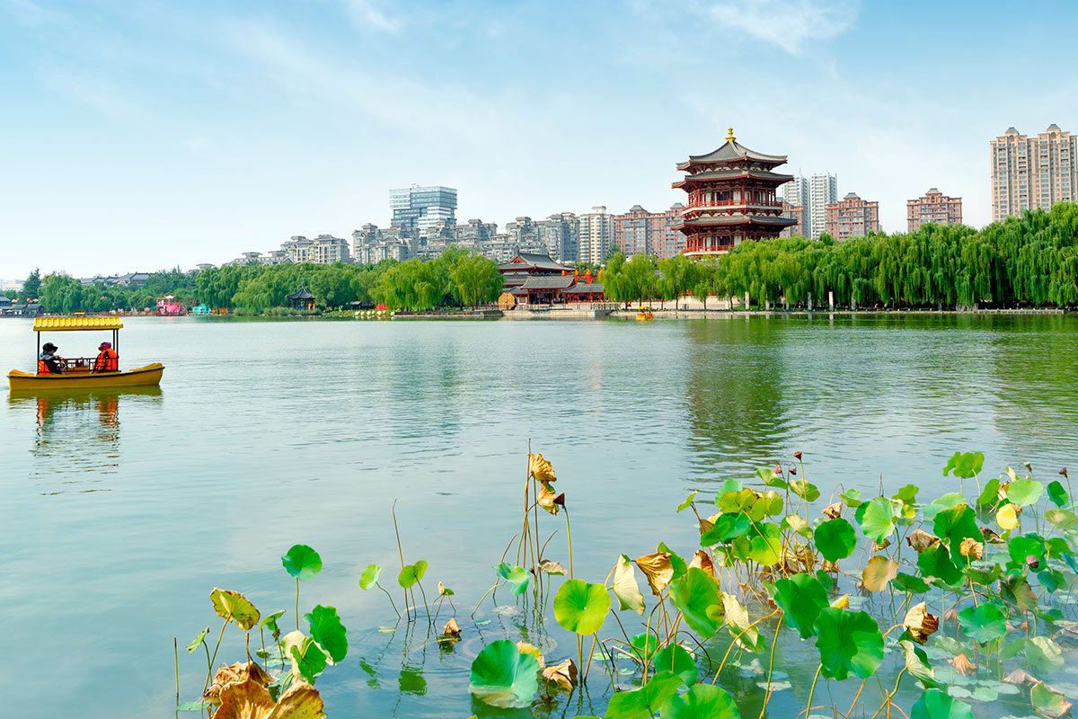    Фото: gyn9037 / Shutterstock.com