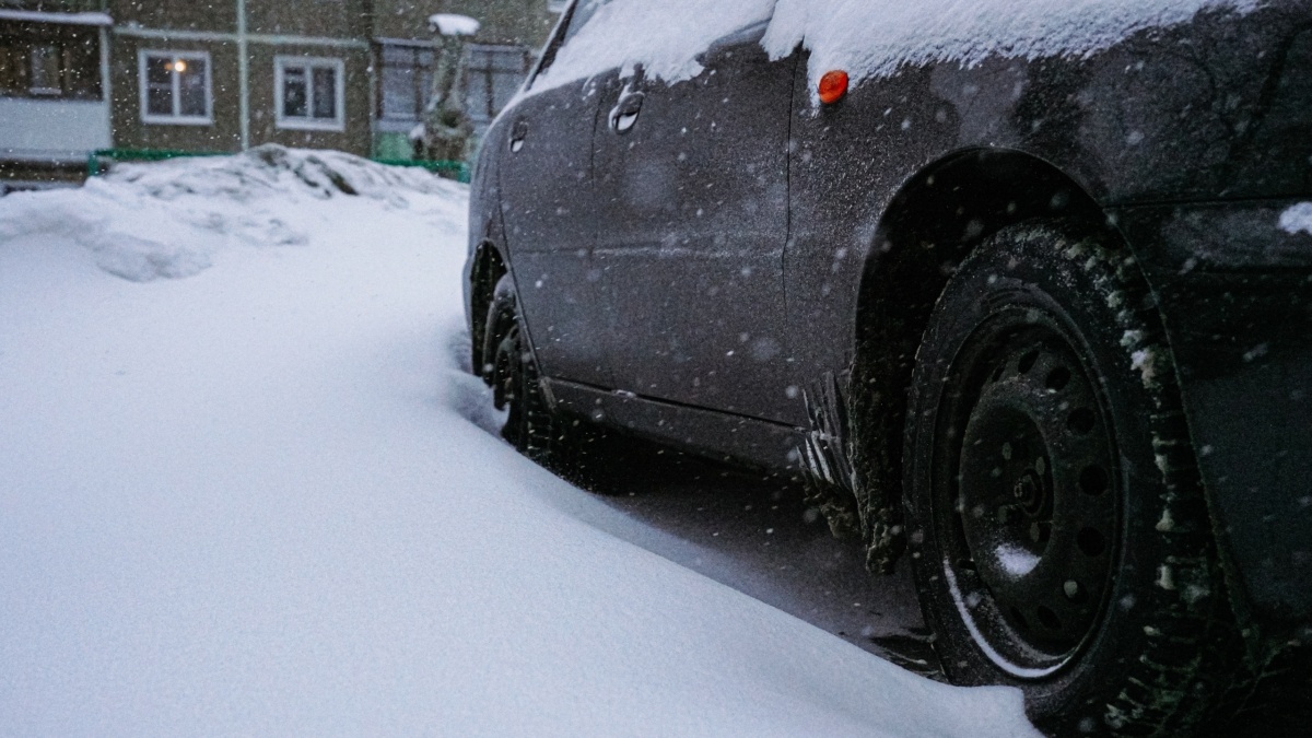 Светлана Мулыкина📷
