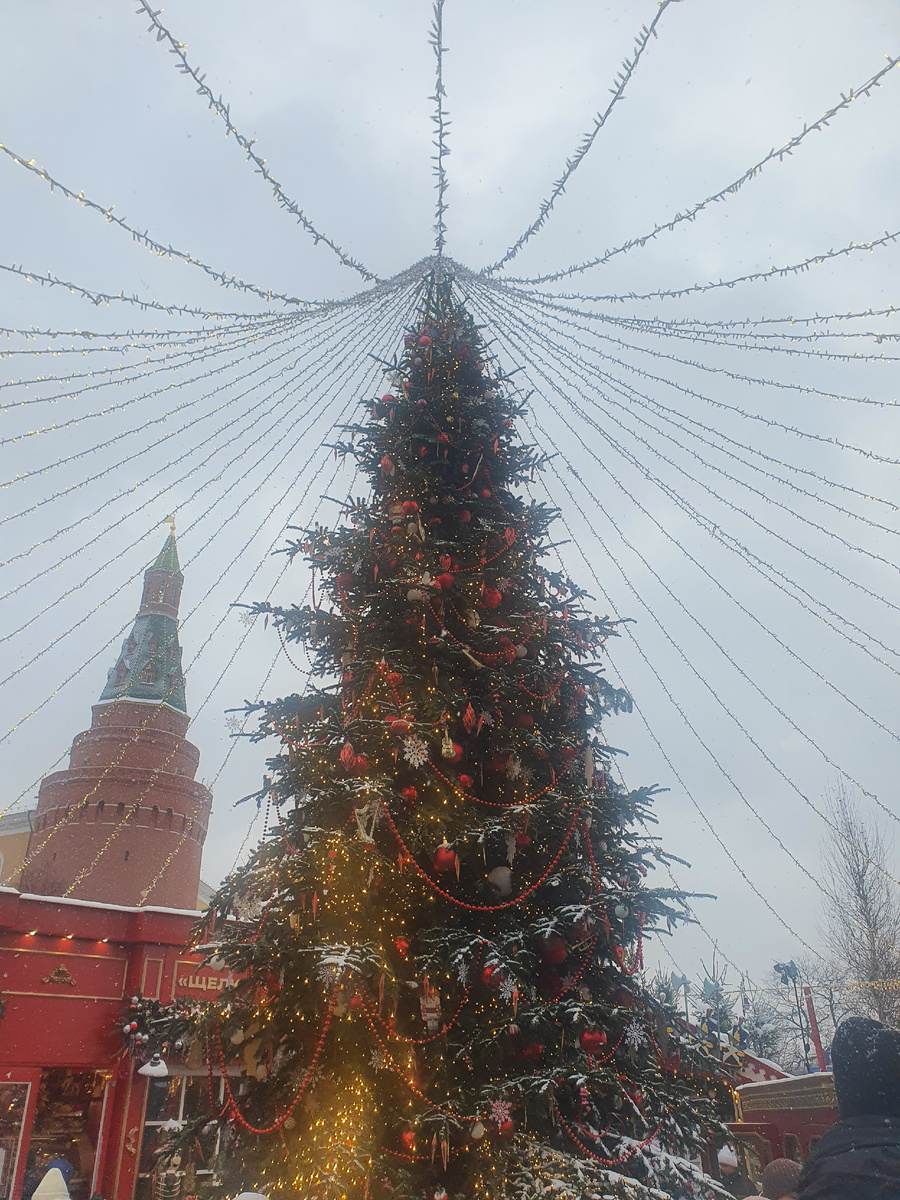 На площади много нарядных елок, это одна из них