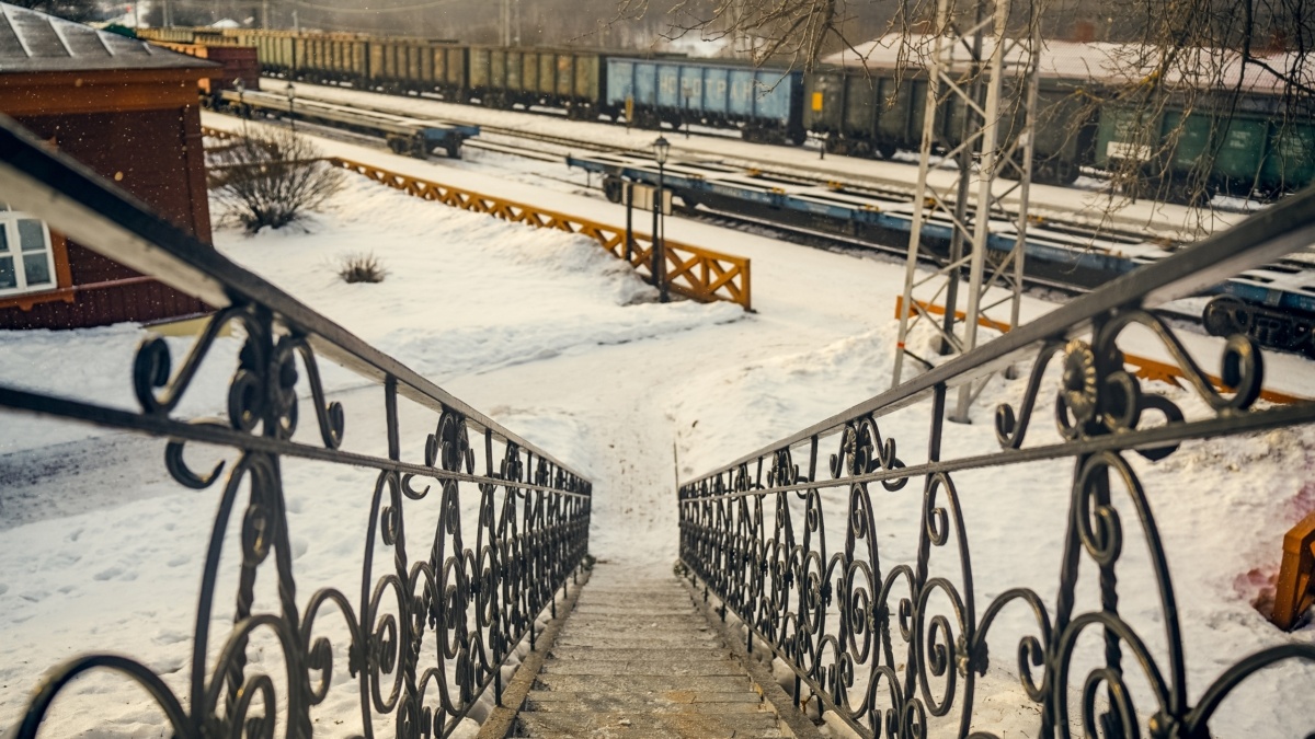 Светлана Мулыкина📷
