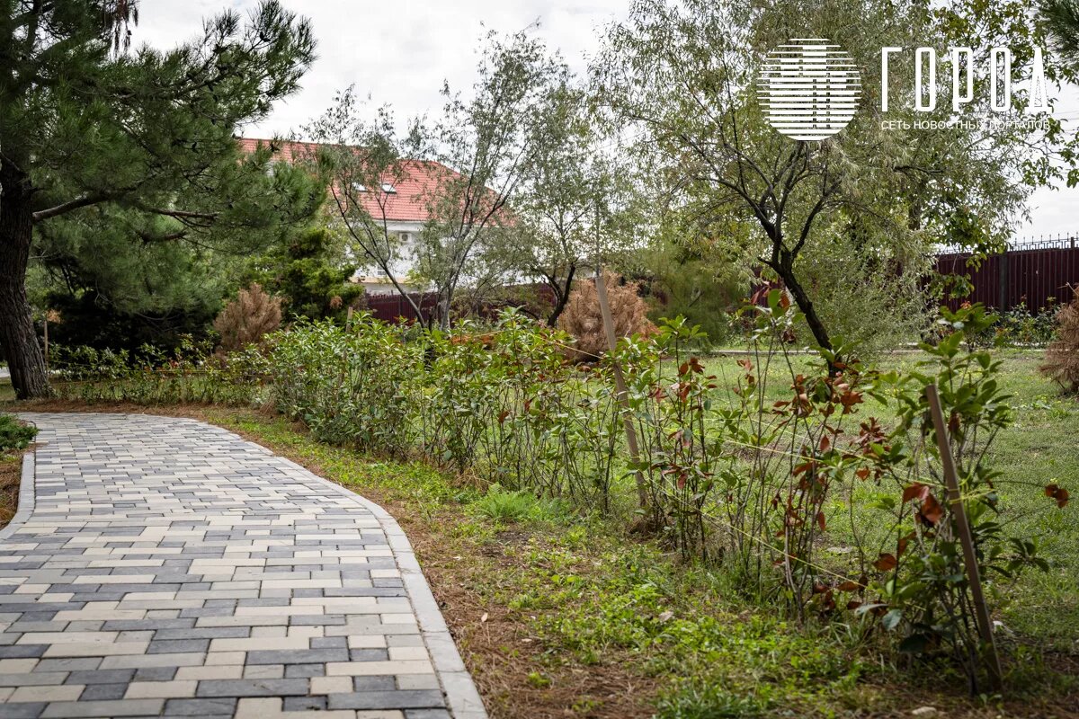 Фото: архив "Города".
