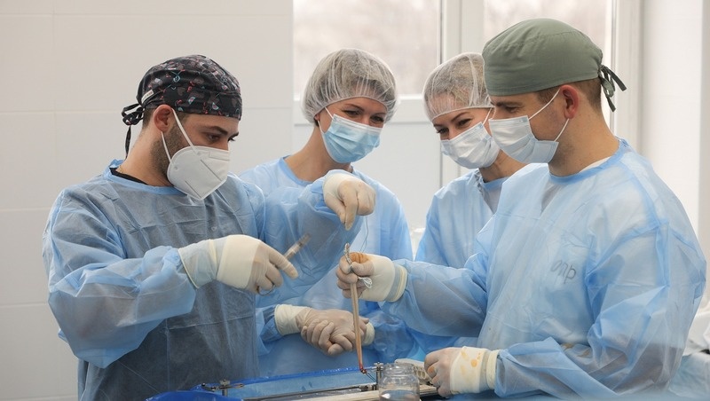      Фото: ИА «Победа26»