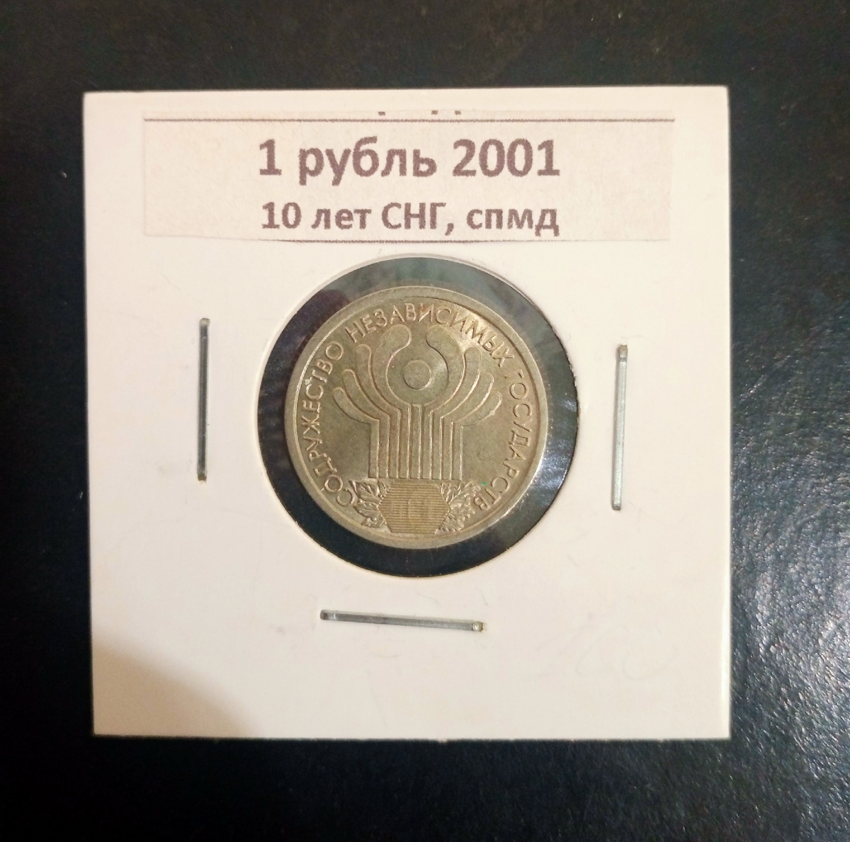 Реверс юбилейной монеты 1 рубль 2001г. Россия.