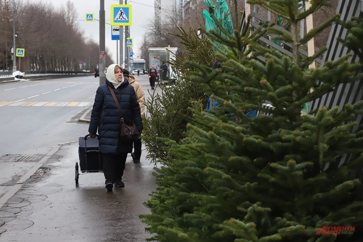    В Ижевске 15 декабря открылись елочные базары