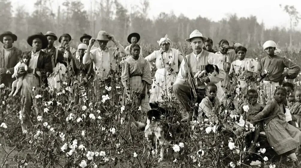 сборщики хлопка