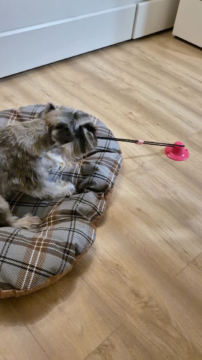 Смог подтащить себя на лежанке)