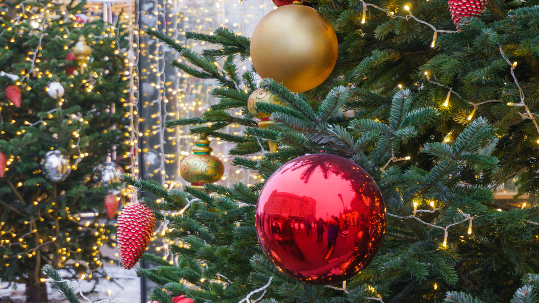    Sergey Smirnov/Global Look Press