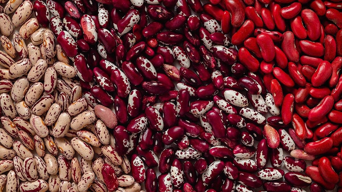    Фото: Shutterstock