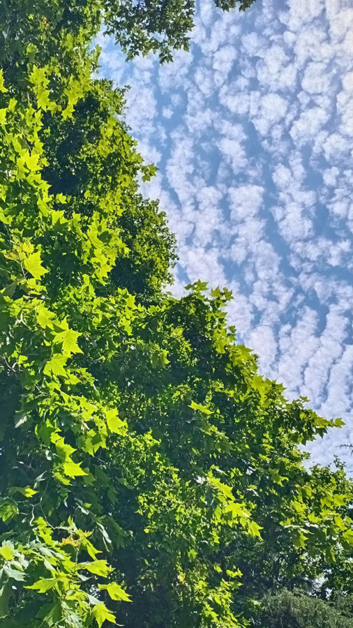 Вид с лавочки