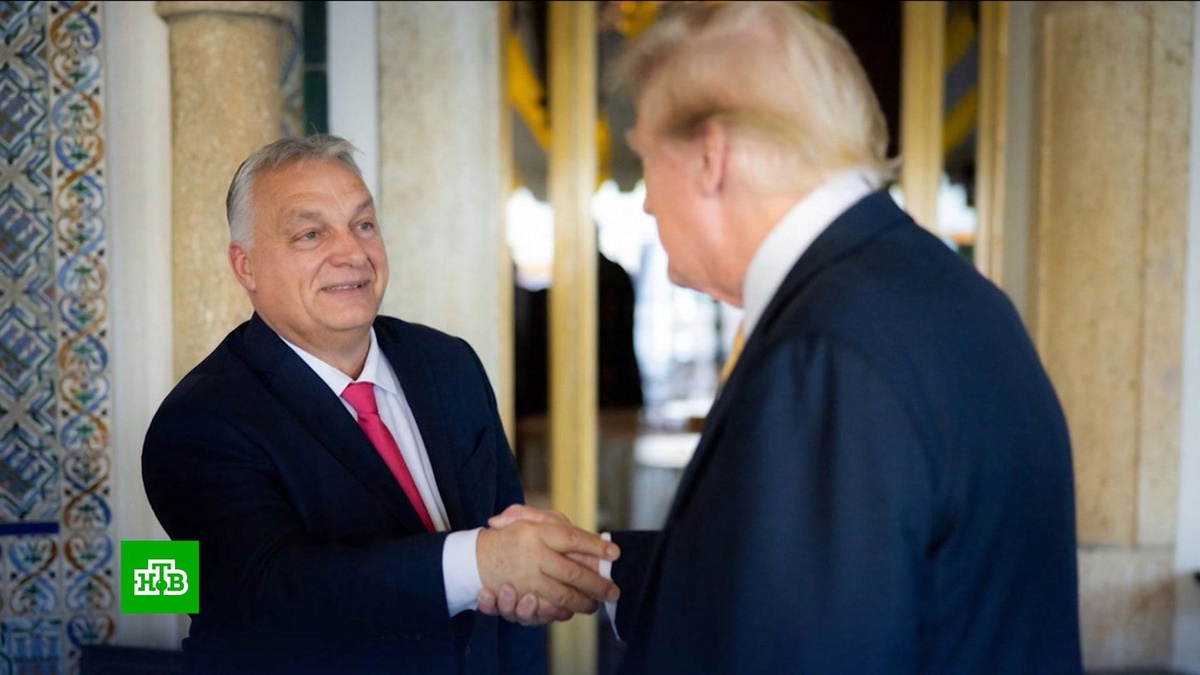    Зеленский отказался от рождественского перемирия