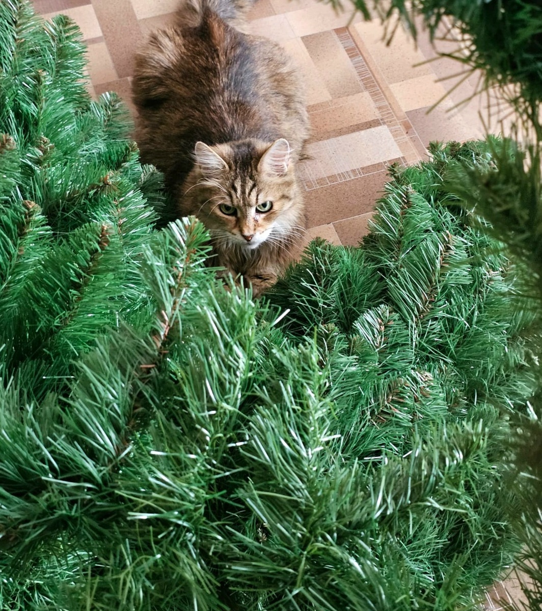 На этом его миссия была завершена. Дальше Вася скакал где-то поблизости, но в кадр не стремился.