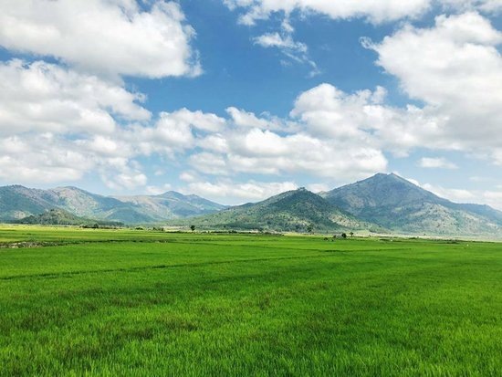 Зялай (вьет. Gia Lai)