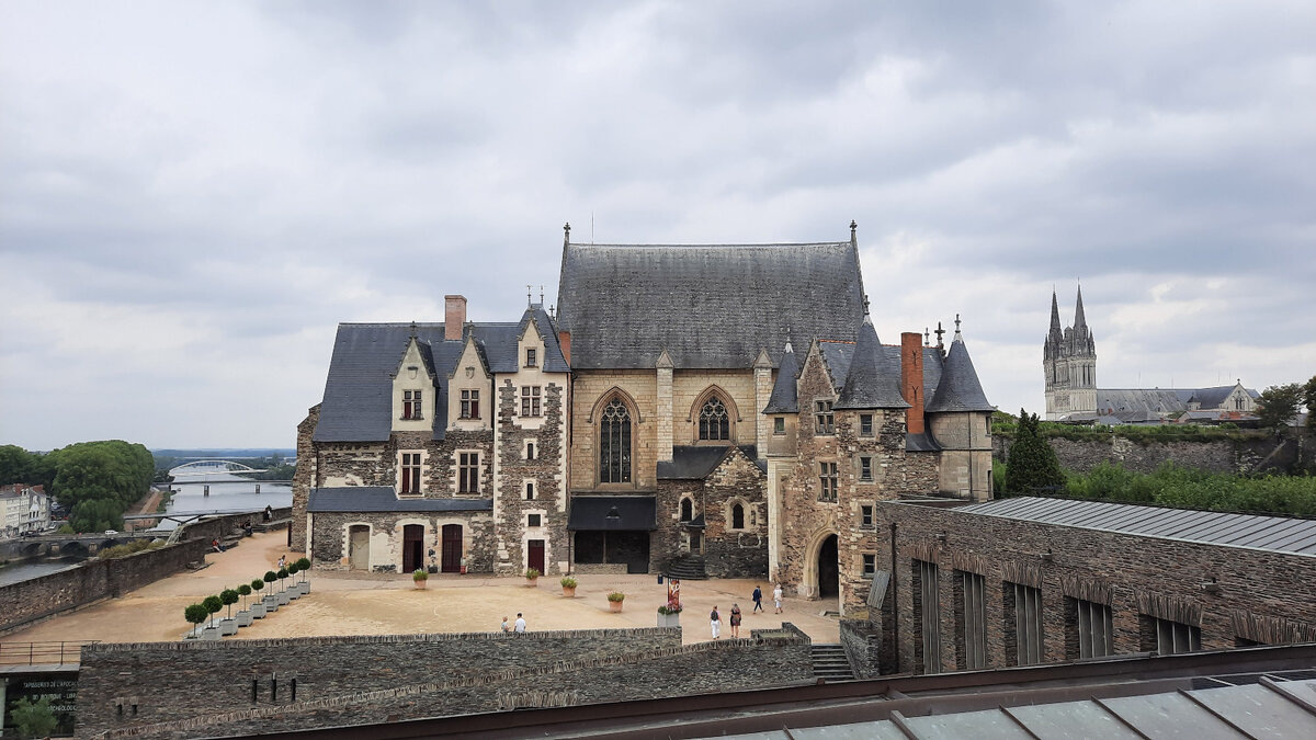 Анжу. Иллюстрация любнзно предоставлена постоянной читательницей канала