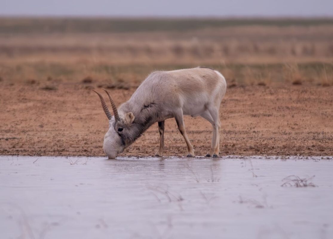 Фото: Л. Филоненко