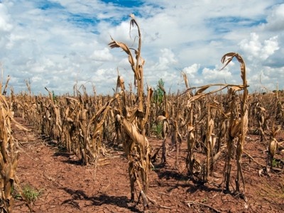    Климатологи: глобальное потепление происходит быстрее, чем предполагалось