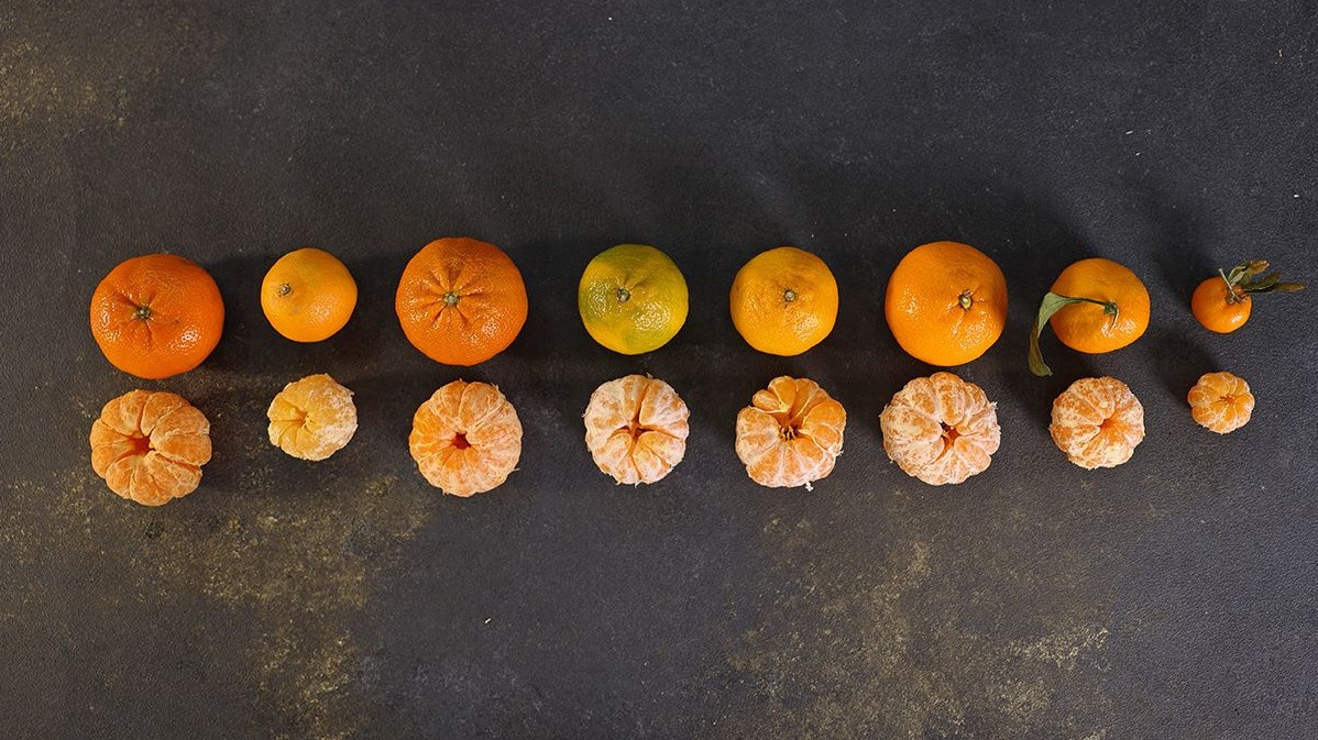 Сравнение размеров и внутреннего строения мандаринов разных стран