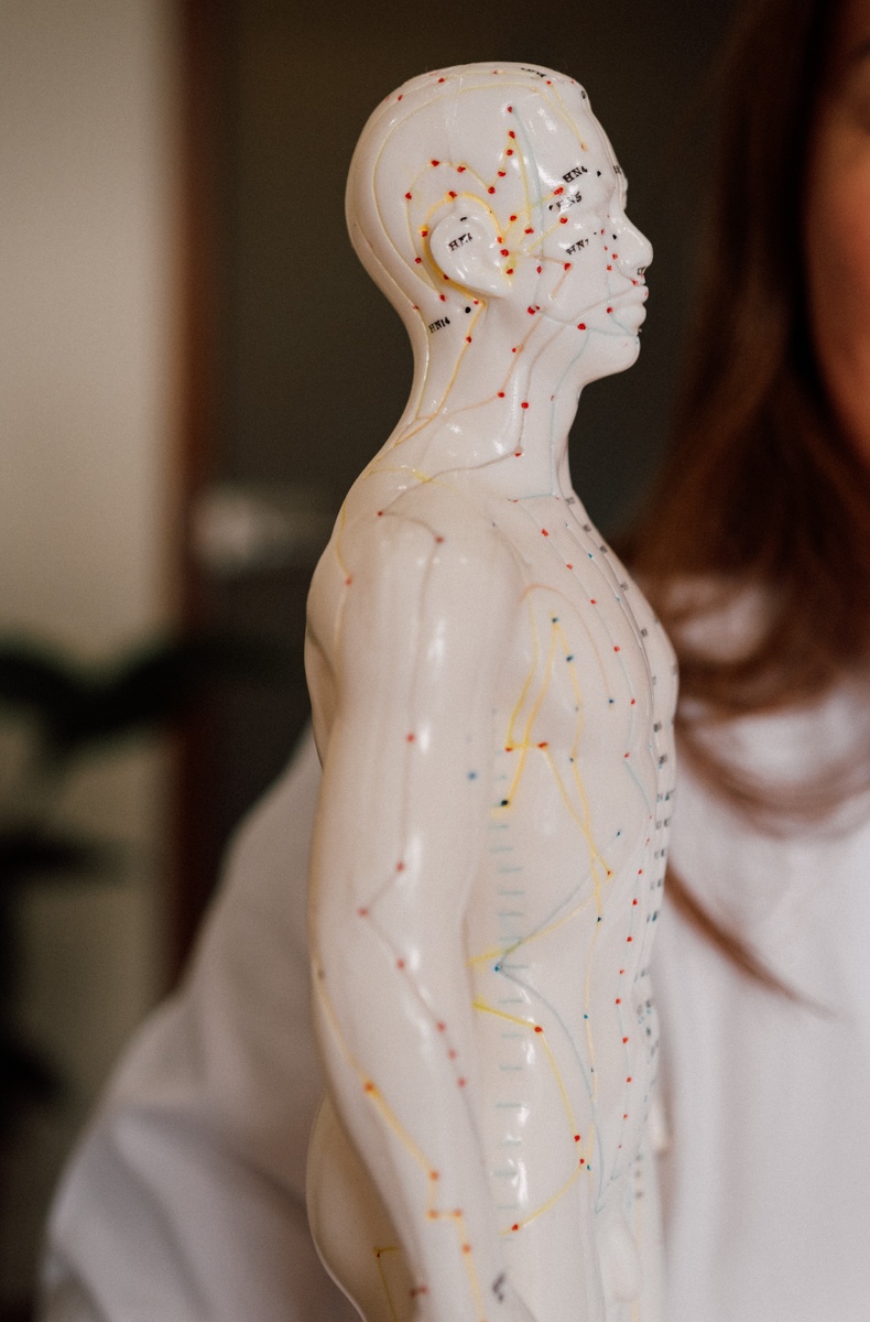 Фото: клиника восточной медицины «Чжуд-Ши»