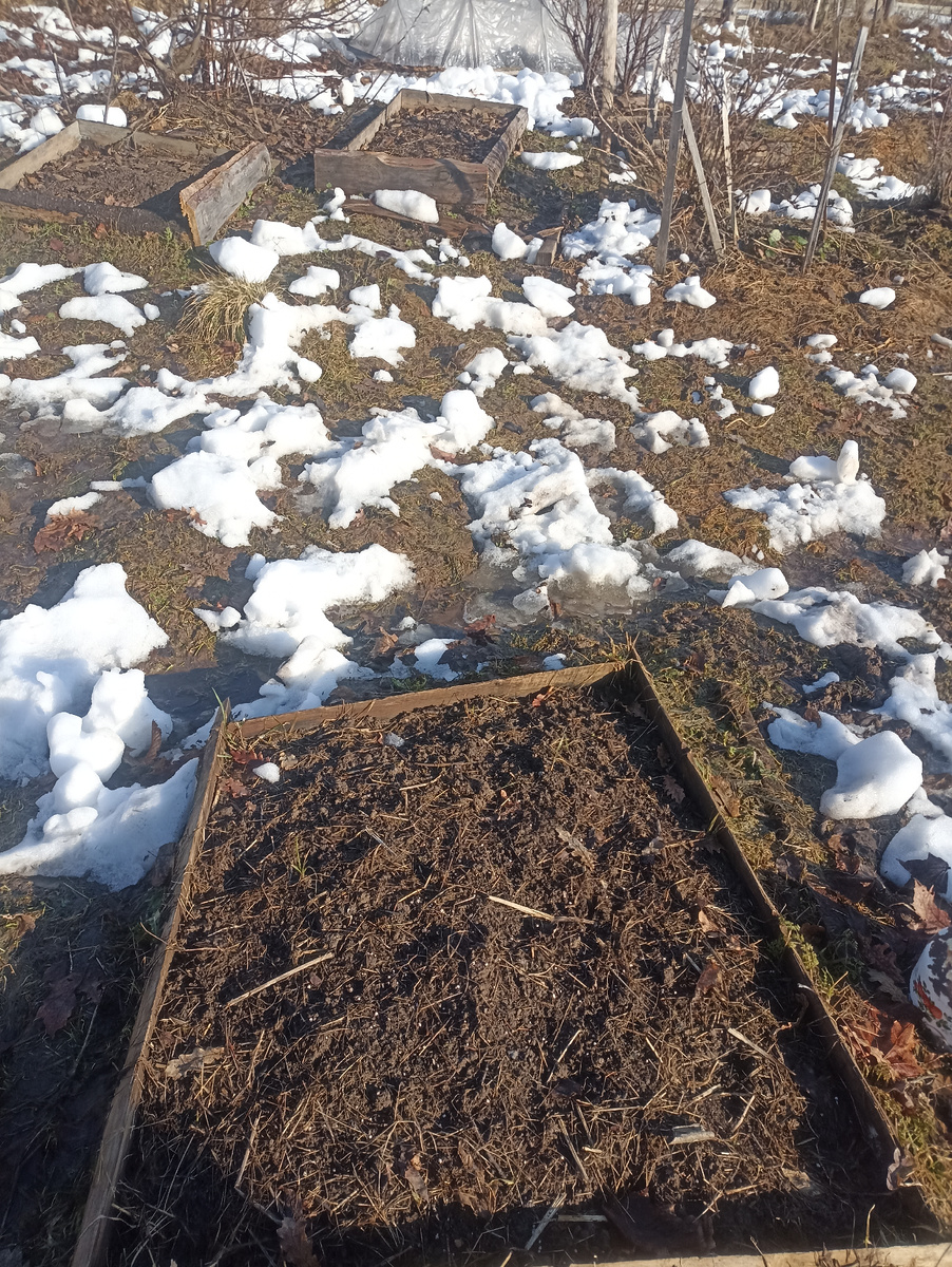 1 е мая 2024 года. Снег ещё только сошел. Вроде теплеет. Но...     