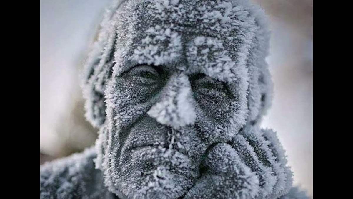 В преддверьи стылости седой зимы припоминается пора цветения... Мы вспоминаем чудеса весны и вновь живём иллюзией рождения...