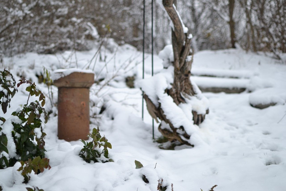 Галерея, листайте