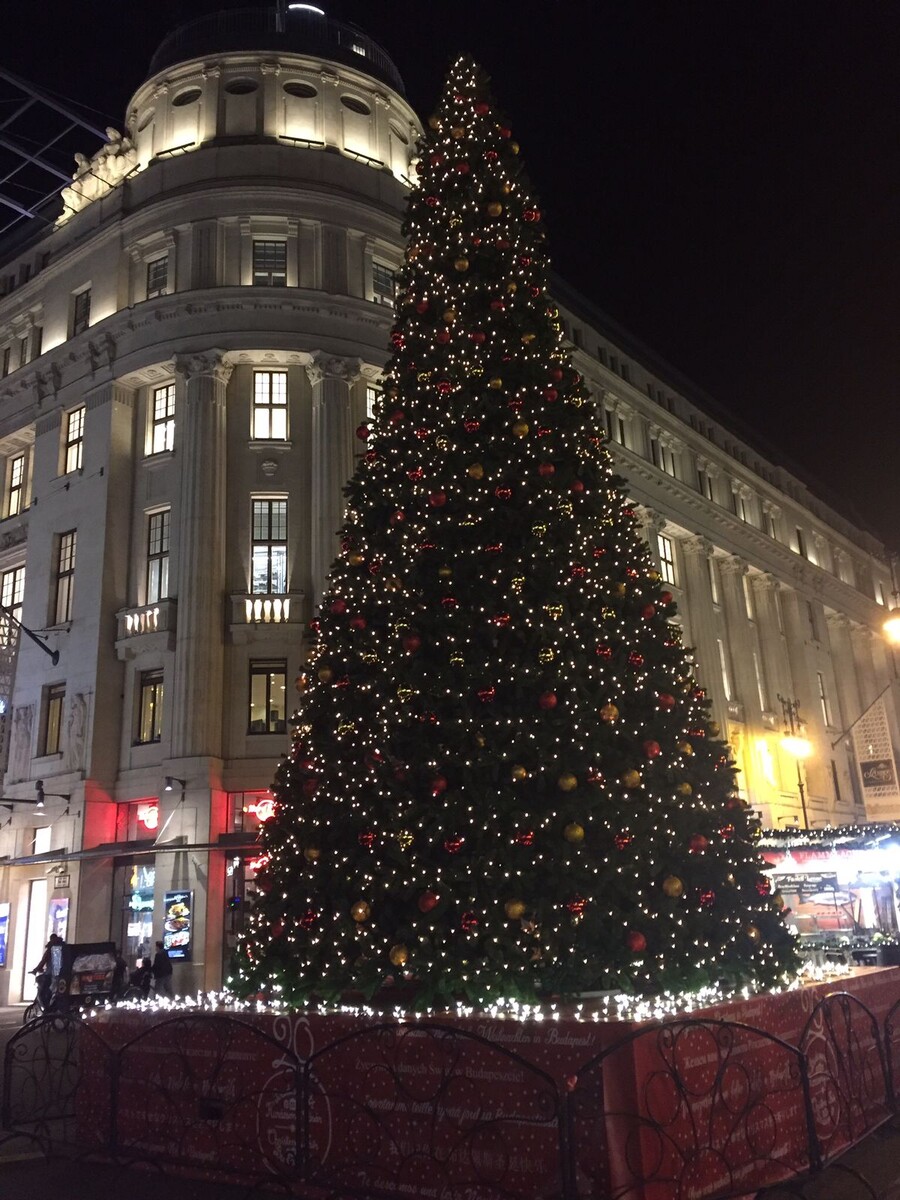 Ёлка на площади Вёрёшмарти. Фото автора
