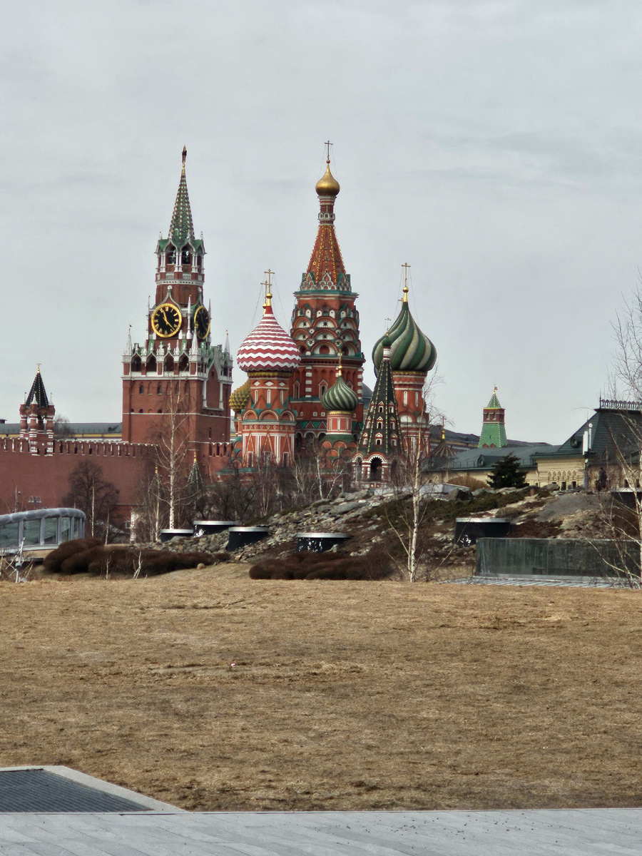 Современный вид