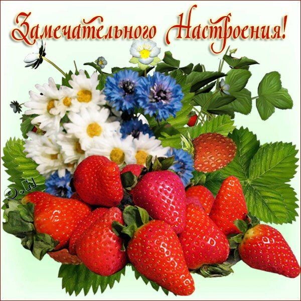 Из интернета для настроения) А вы скучаете по лету? ;)