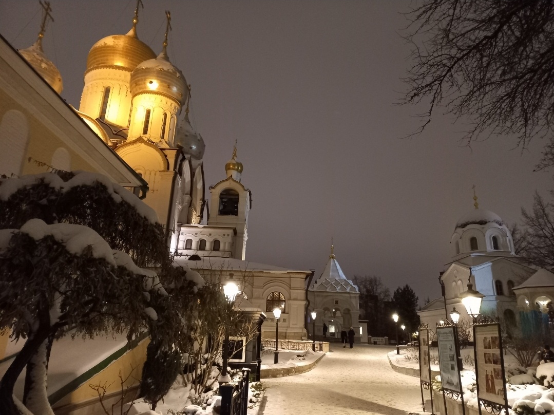 Зачатьевский монастырь