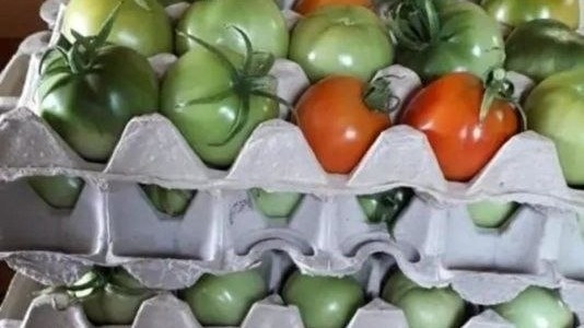 Фото с pinterest.com