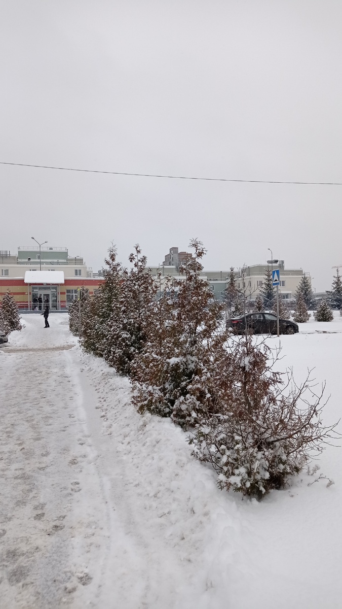 Приехали со свекром раньше времени, нас приняли, всё быстро сделали УЗИ и потом обрадовали, что больше ездить и проверяться не нужно. 