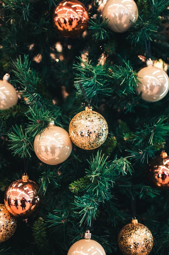 Photo by Hert Niks on Unsplash