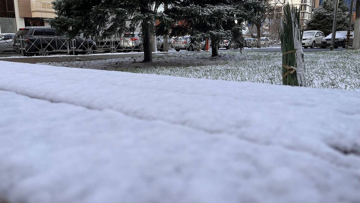    Фото: телеканал «Краснодар»