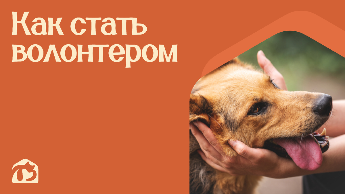 Как стать волонтером и что важно знать