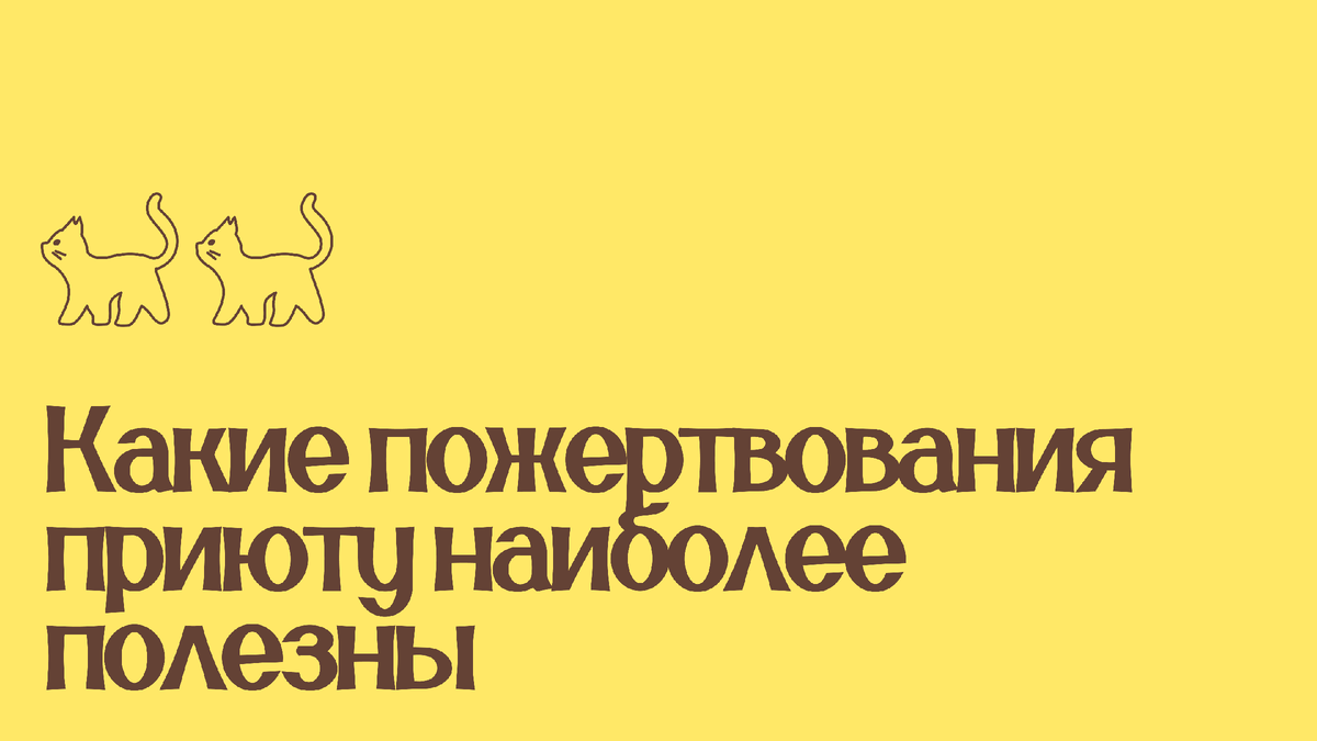 Какие пожертвования приюту наиболее полезны