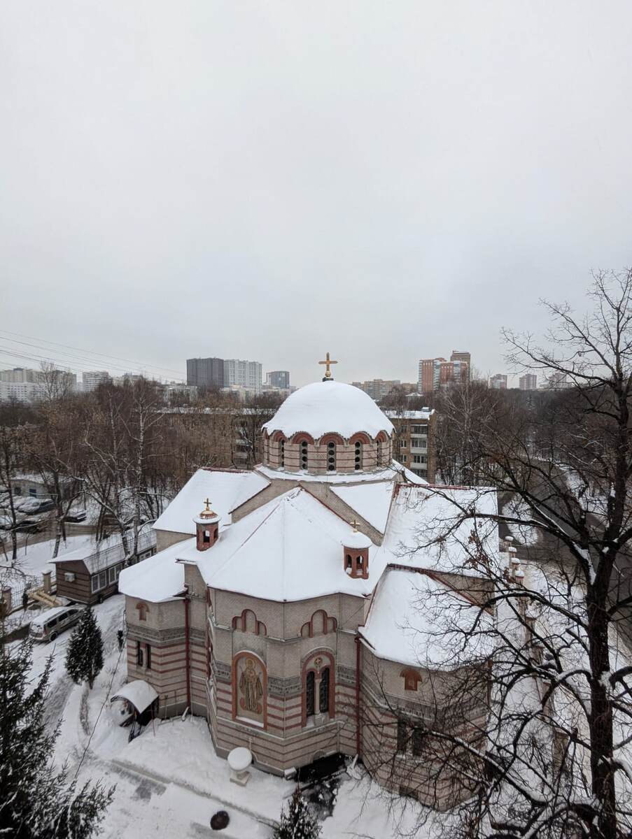 С высоты птичьего полета