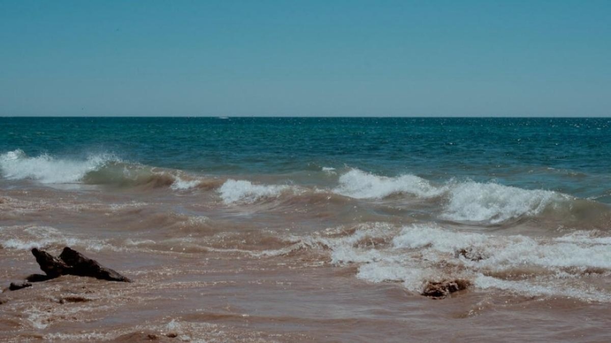    ЧП с танкером у Керчи: рулевым была выпускница саратовского колледжаНовости Саратова и области – Сетевое издание «Репортер64»