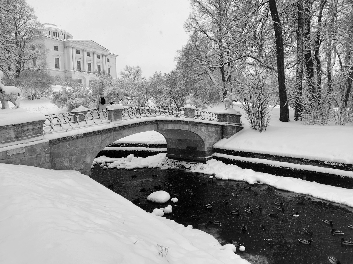 все фотографии сделаны автором