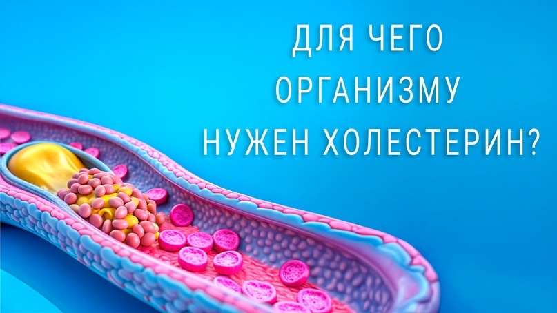 материал принадлежит владельцу канала