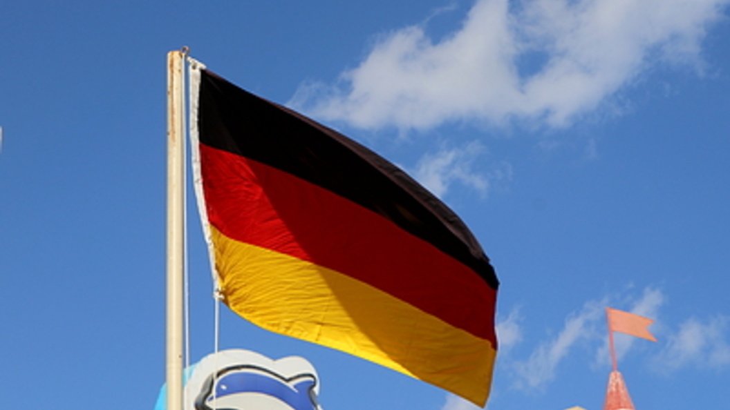    Фото: Maksim Konstantinov/Globallookpress