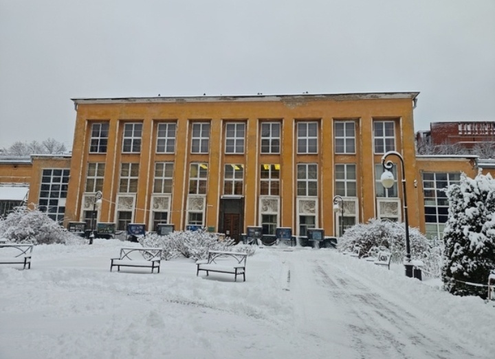 Ботанический сад. Первый снег 2024. Фото из открытых источников.