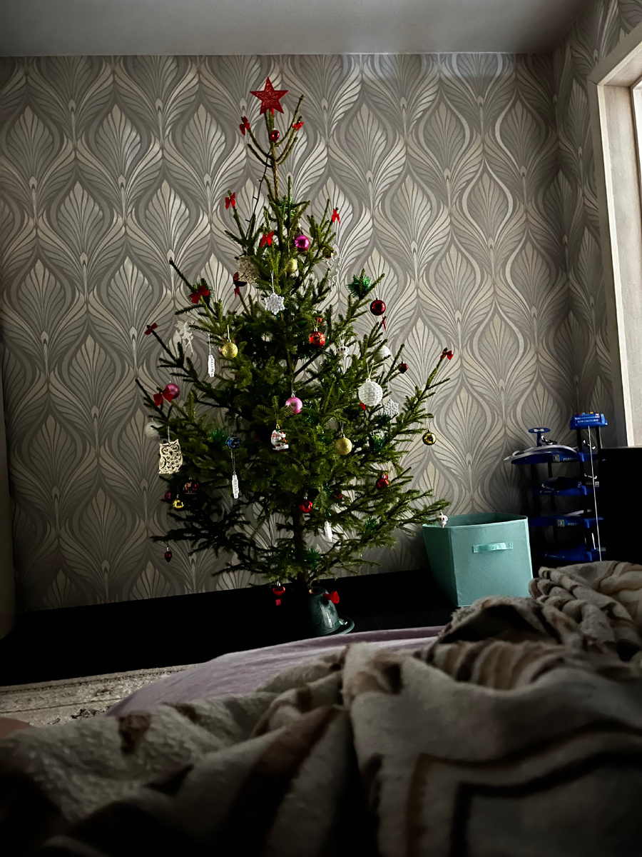 Фото с прошлого Нового года.