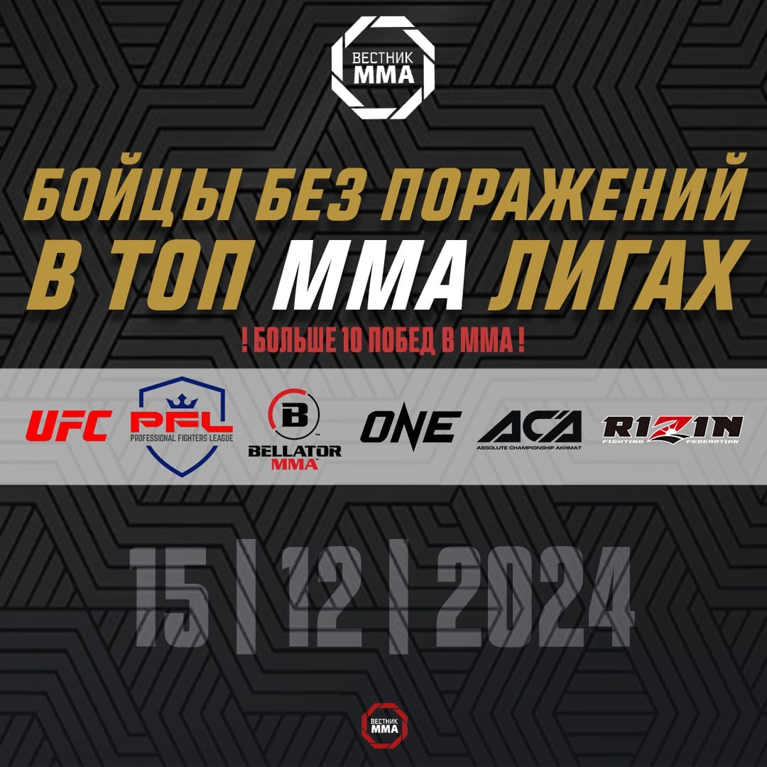 Бойцы без поражений в ТОП ММА лигах 15.12.2024