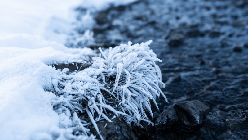 Фото: @kukota / freepik.com