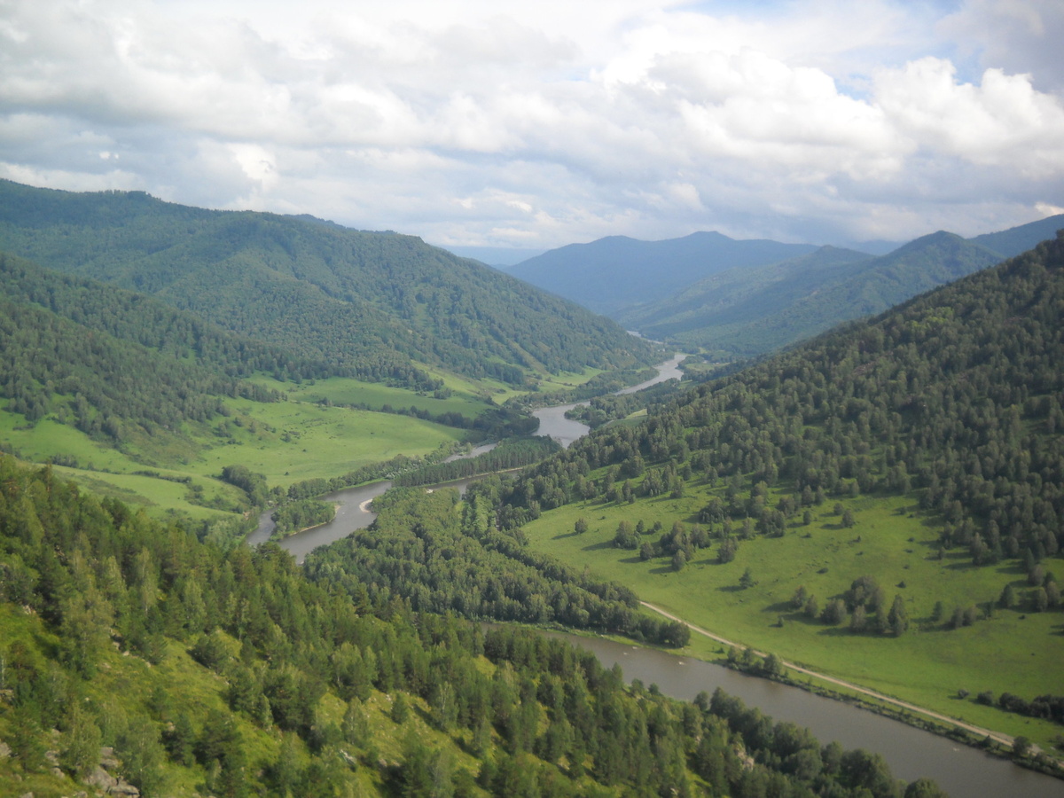 р.Чарыш где-то к Сентелеку