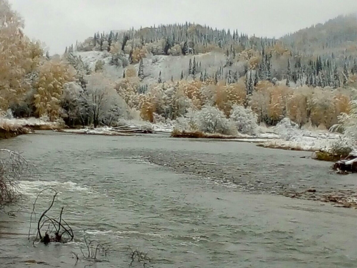 Где-то в верховьях Чарыша. Гробят и вот такую красоту тоже.