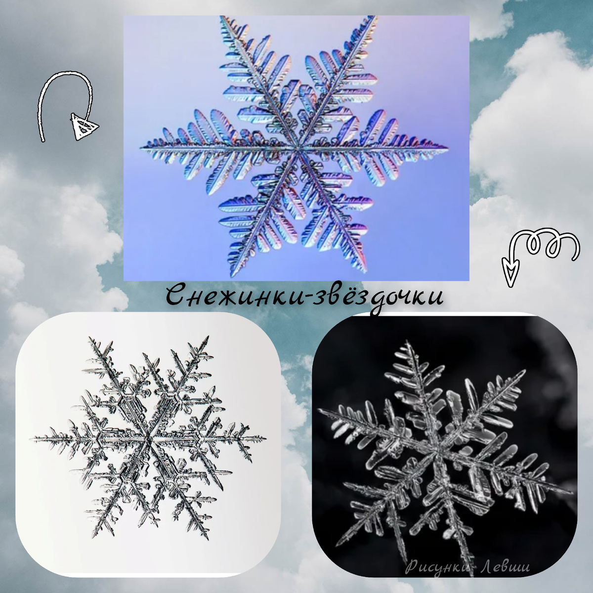 Коллаж автора. Фото Яндекс картинки 